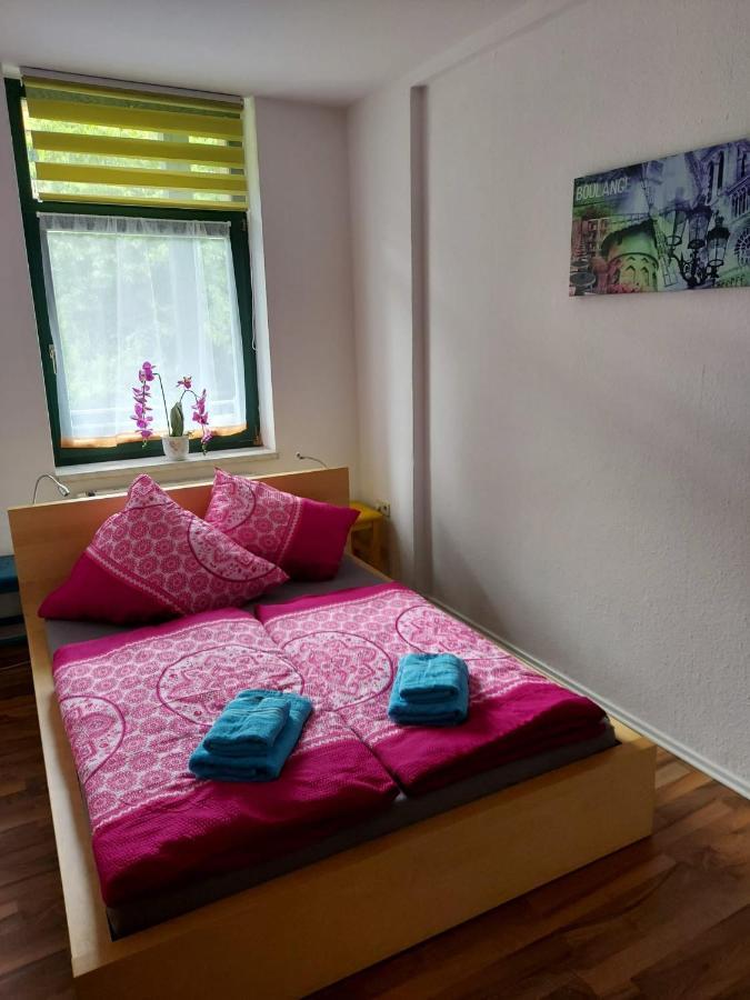 Ferienwohnung Eddi Reichenbach im Vogtland Esterno foto